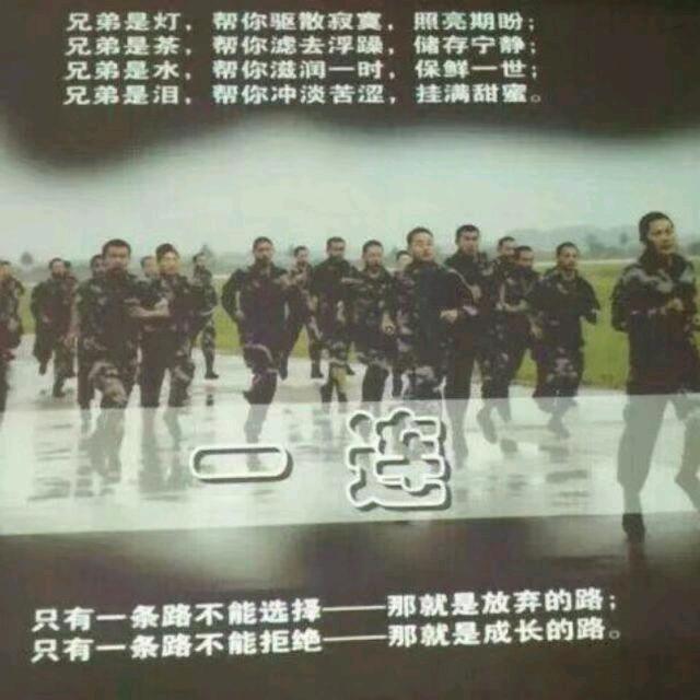 尼涛
