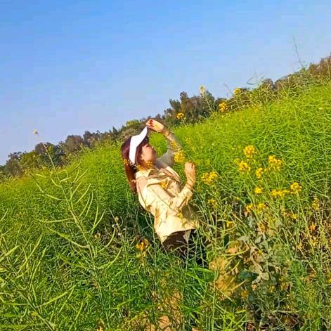 蝴蝶花姐