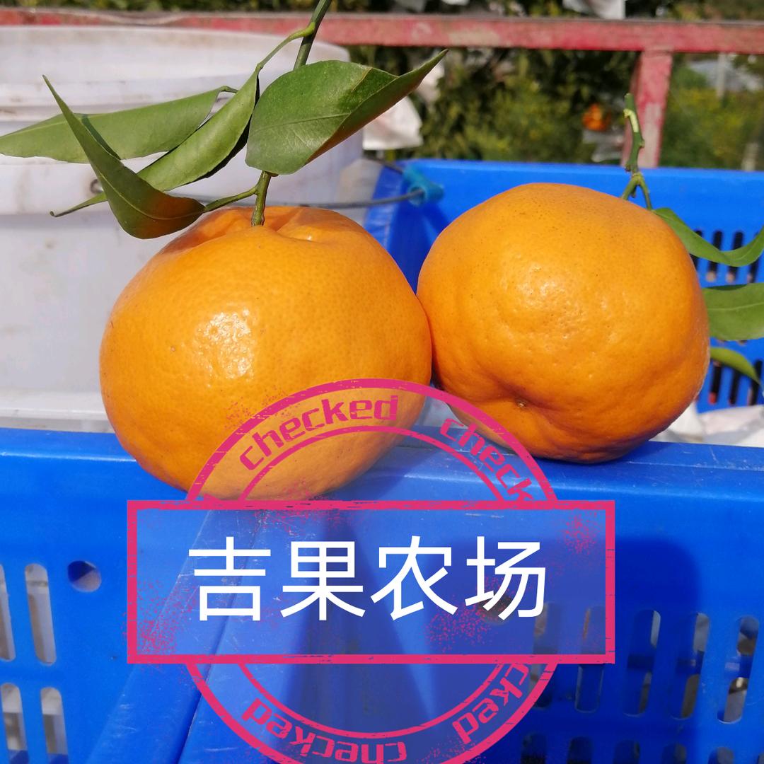 吉果农场