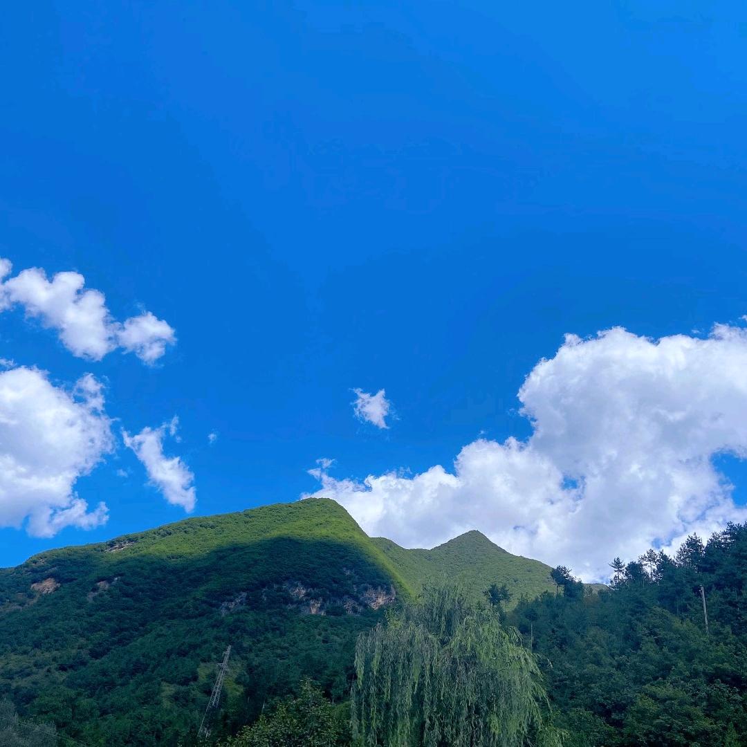 青山绿水