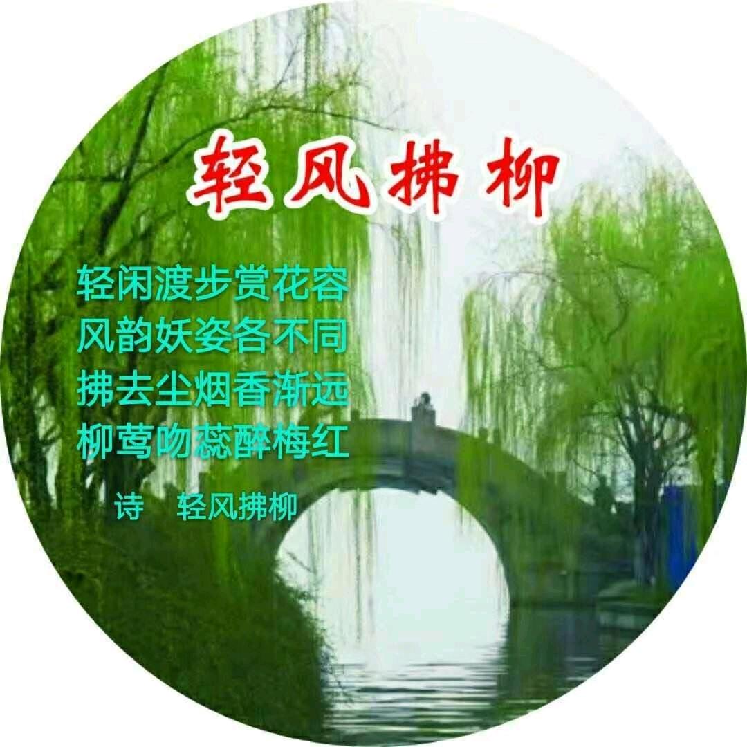 轻风拂柳