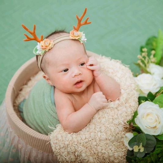 梓桐，梓阳的一点一滴