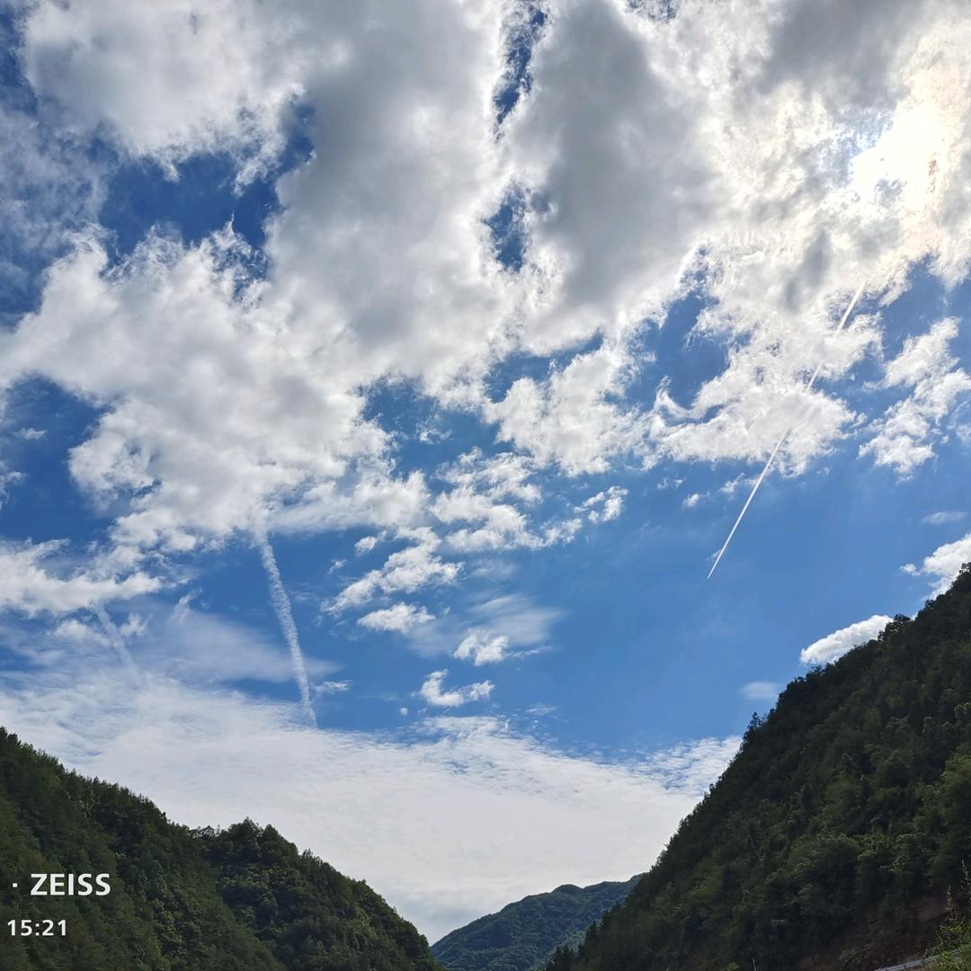 年少怎能不轻狂  /