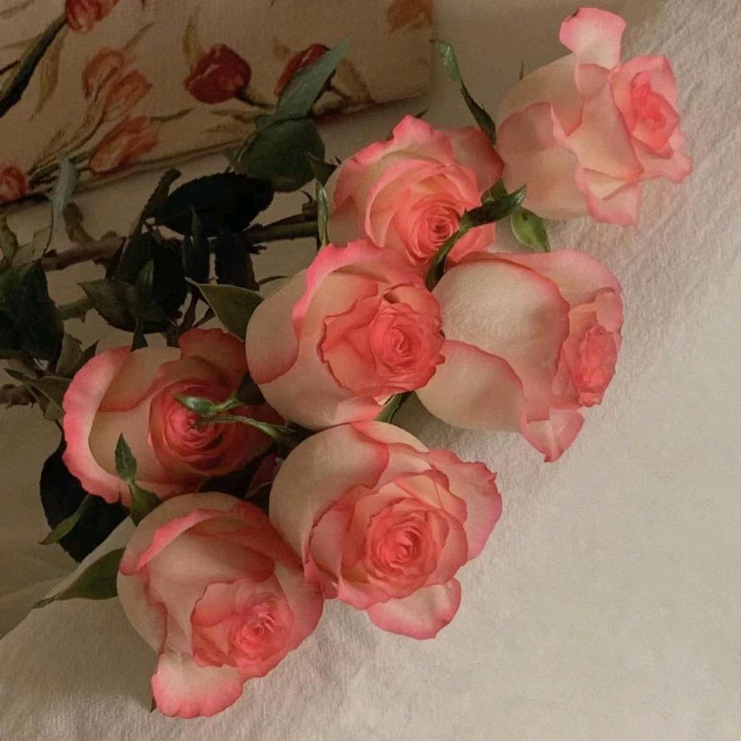 二姐🌺