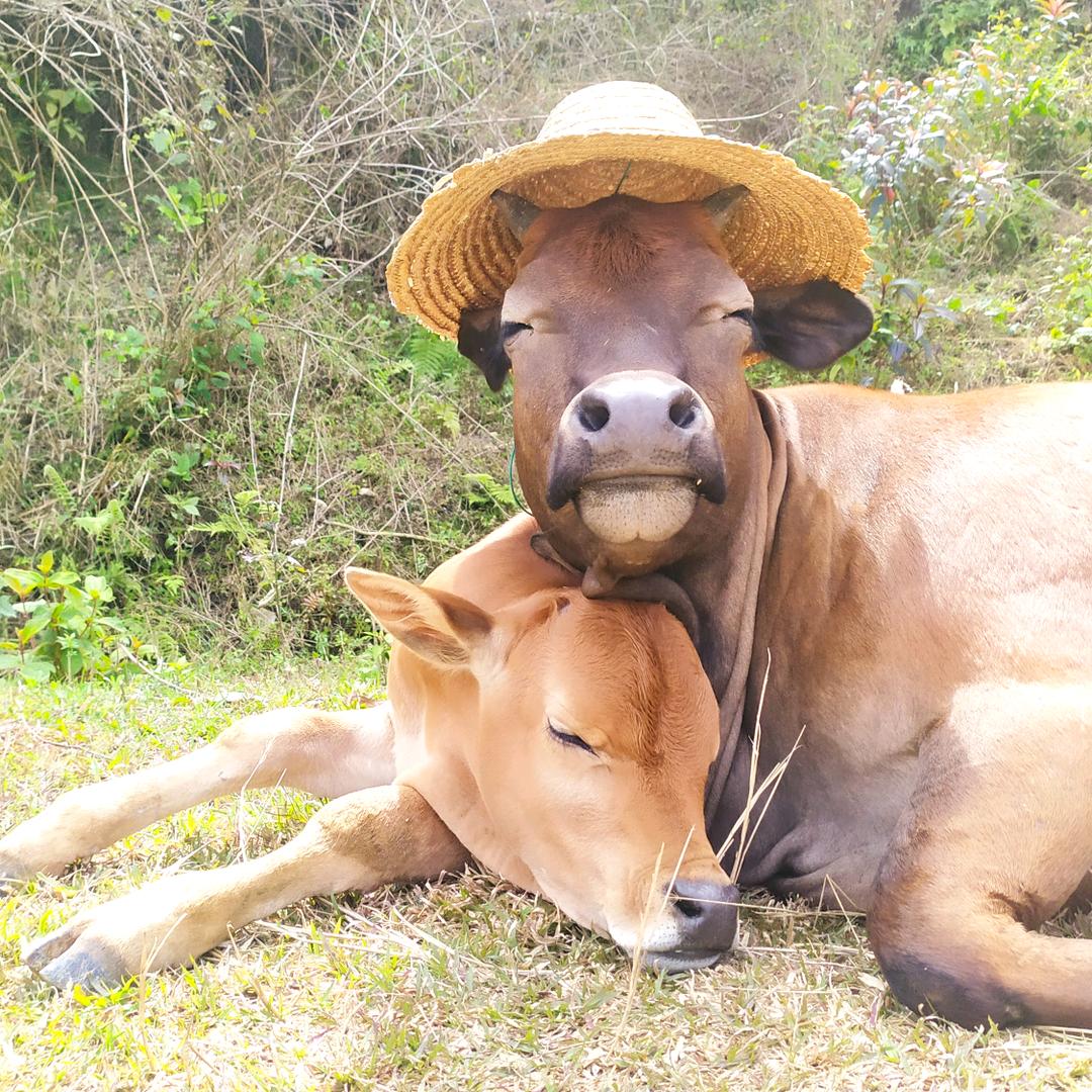 广东阿生牛农生活