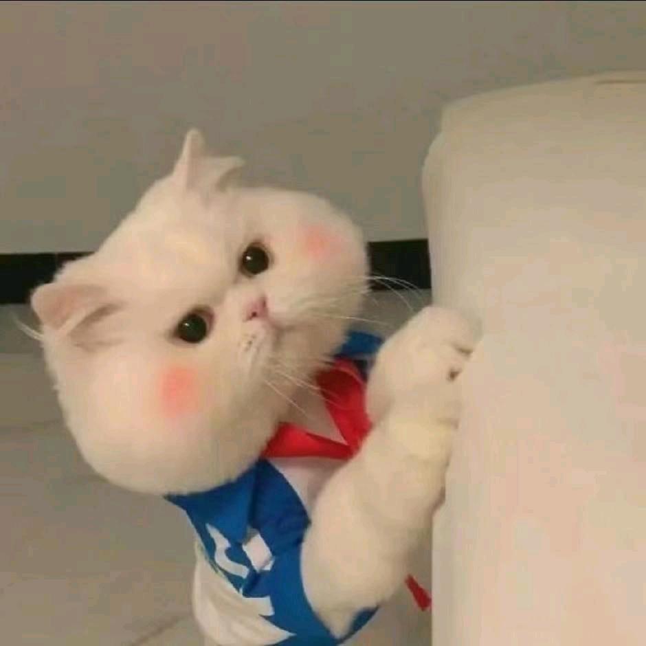 陈小陈