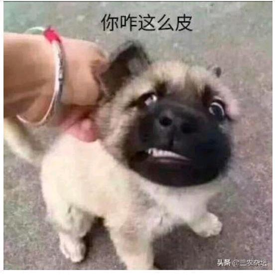 墨尘