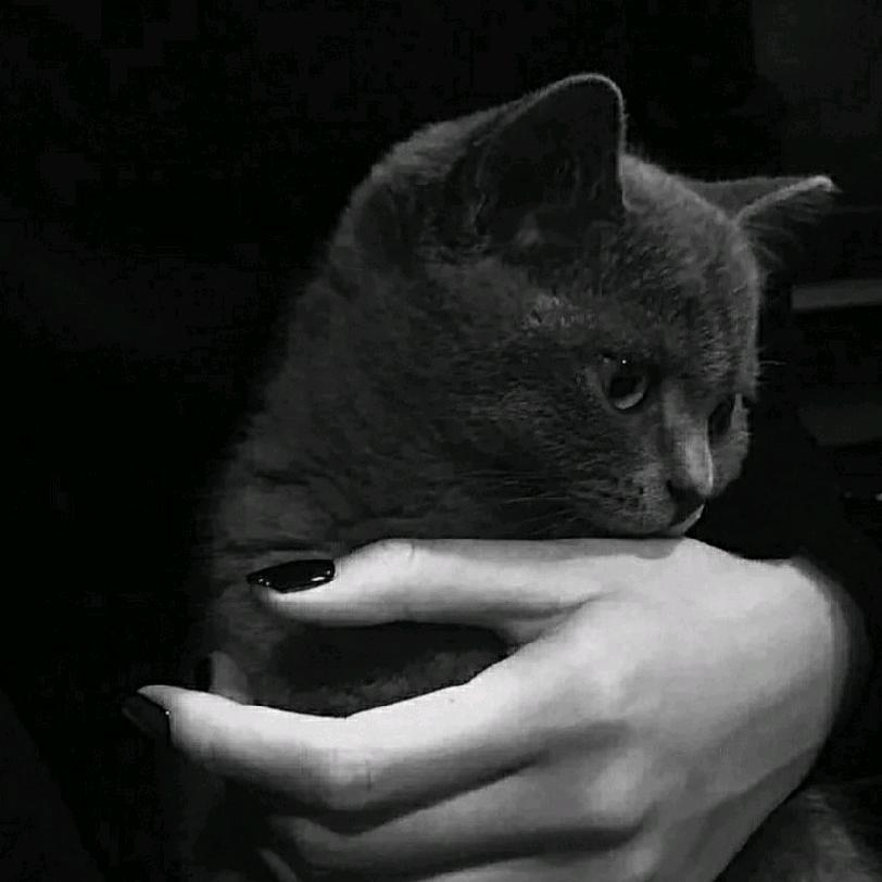 、九八（吊顶请找我）