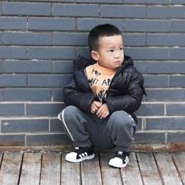 清风拂柳