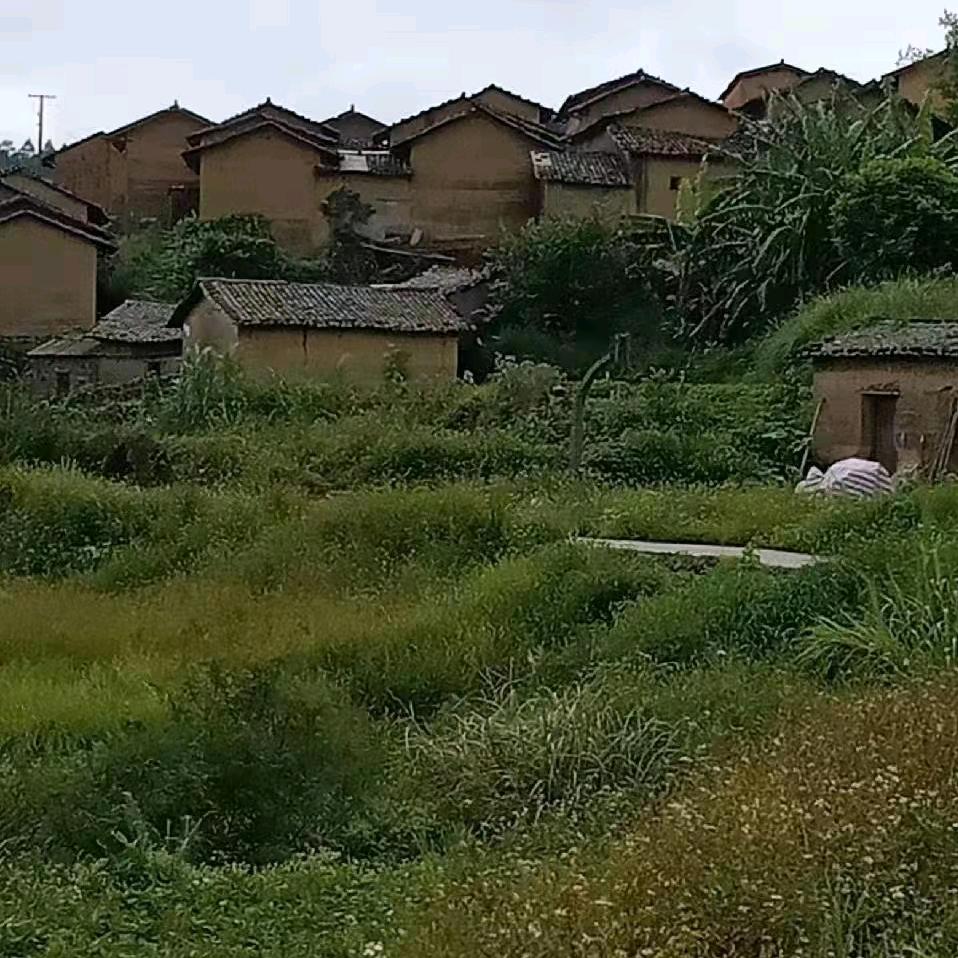 农之乐V小天
