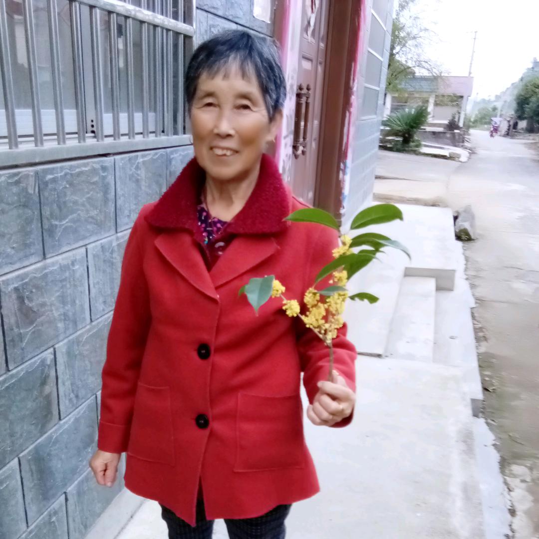 可爱老人
