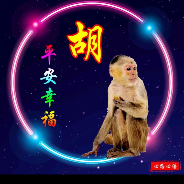过往云烟从新启航