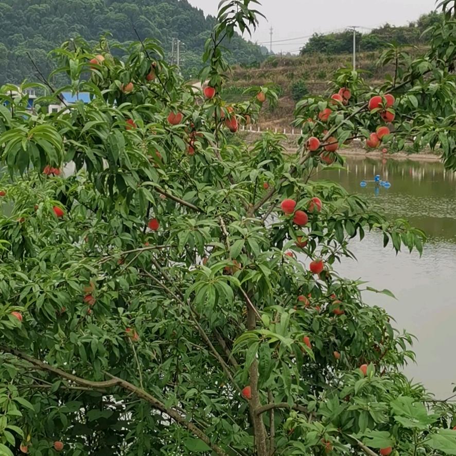 笑看人生