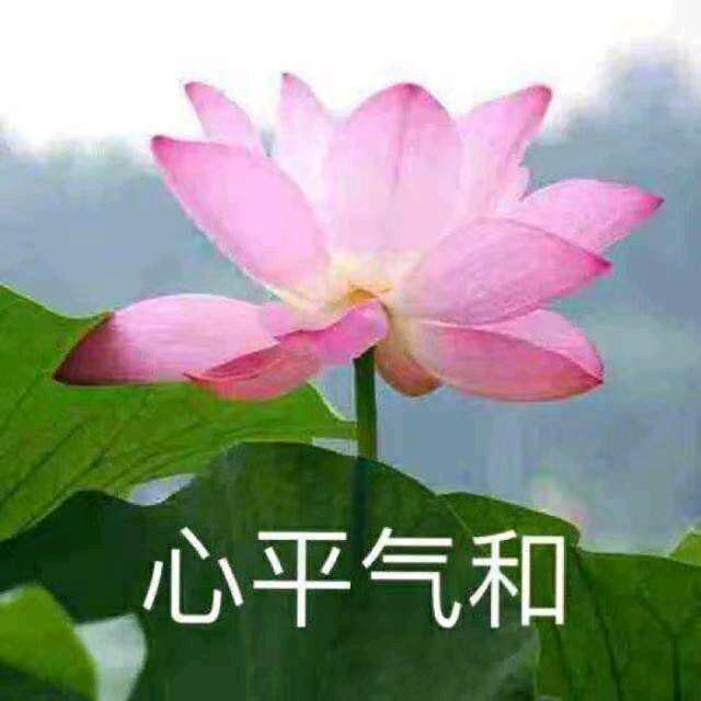 专业粘瓷砖