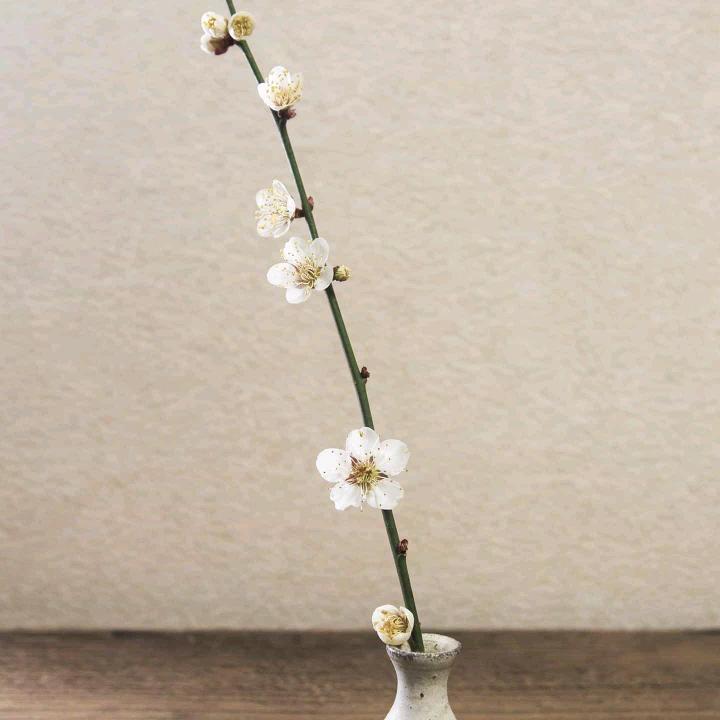 @一生平安