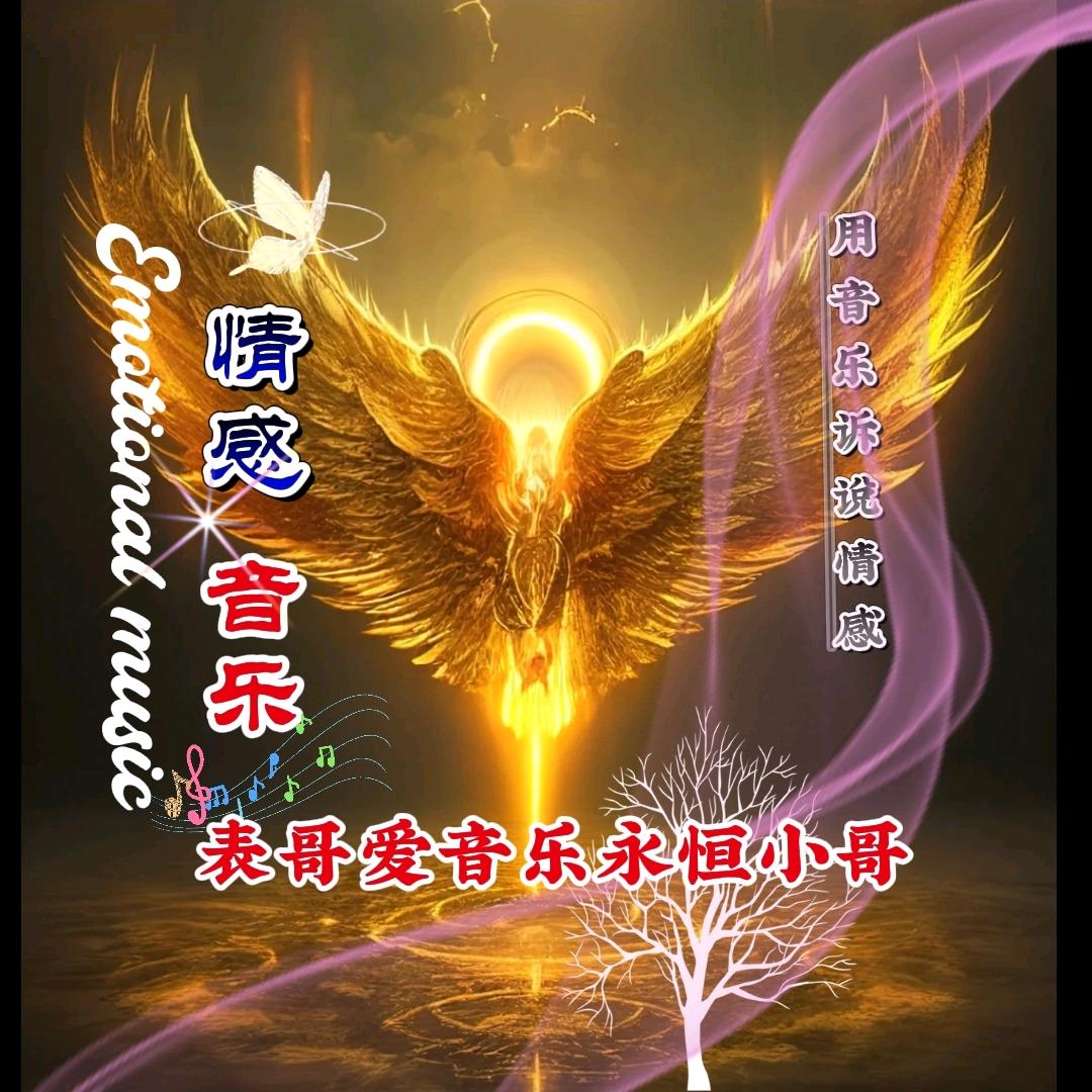 表哥爱音乐永恒小哥
