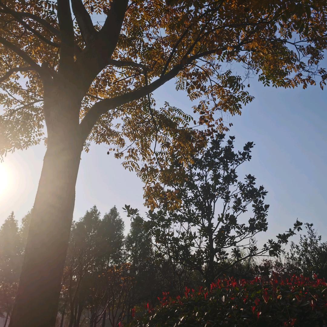 努力过好每一天