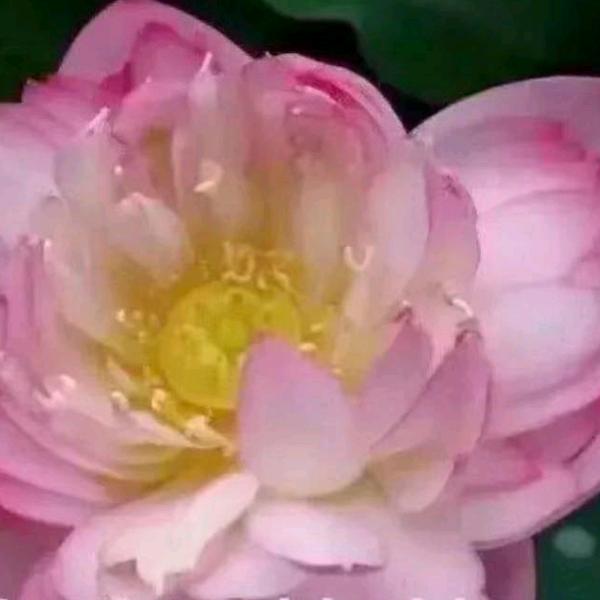 时代不同