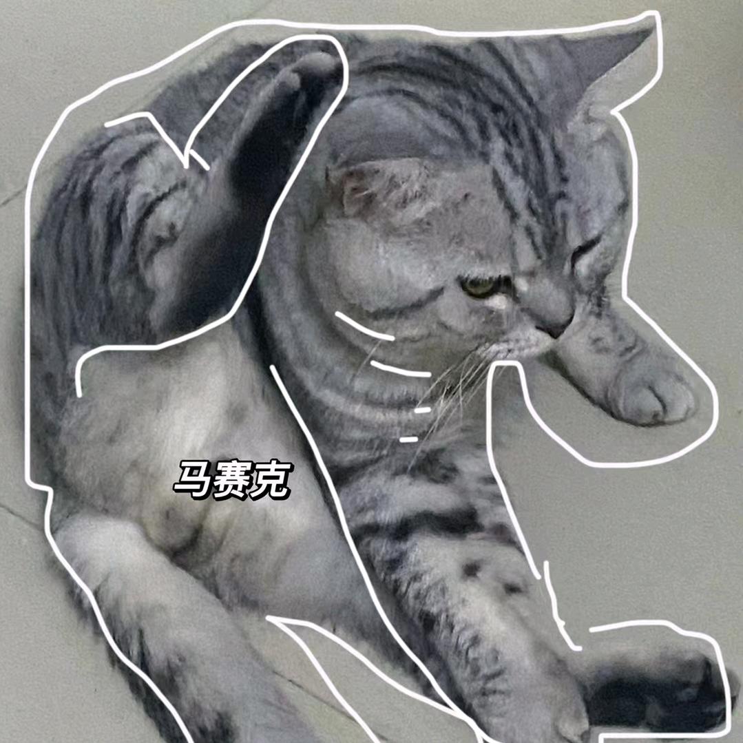 用户2888272930
