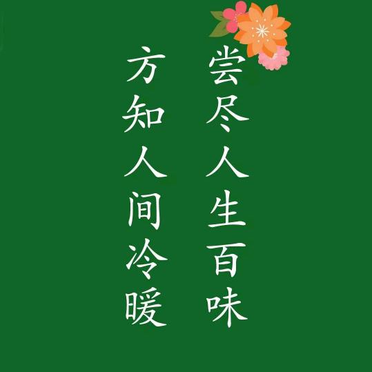 猫猫是条狗