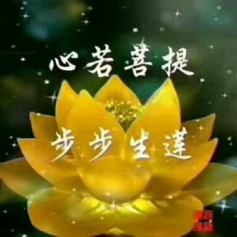 🍀🍀玲珑🍀🍀