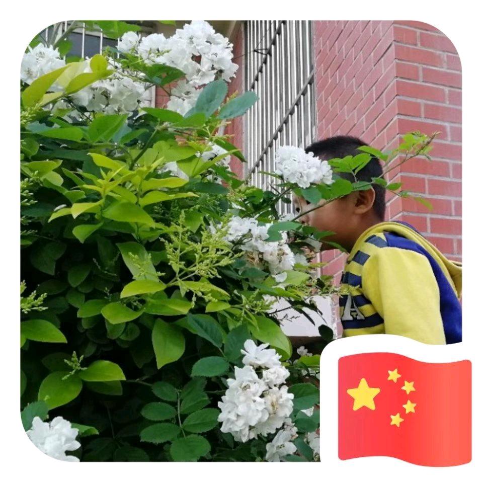 昆仑