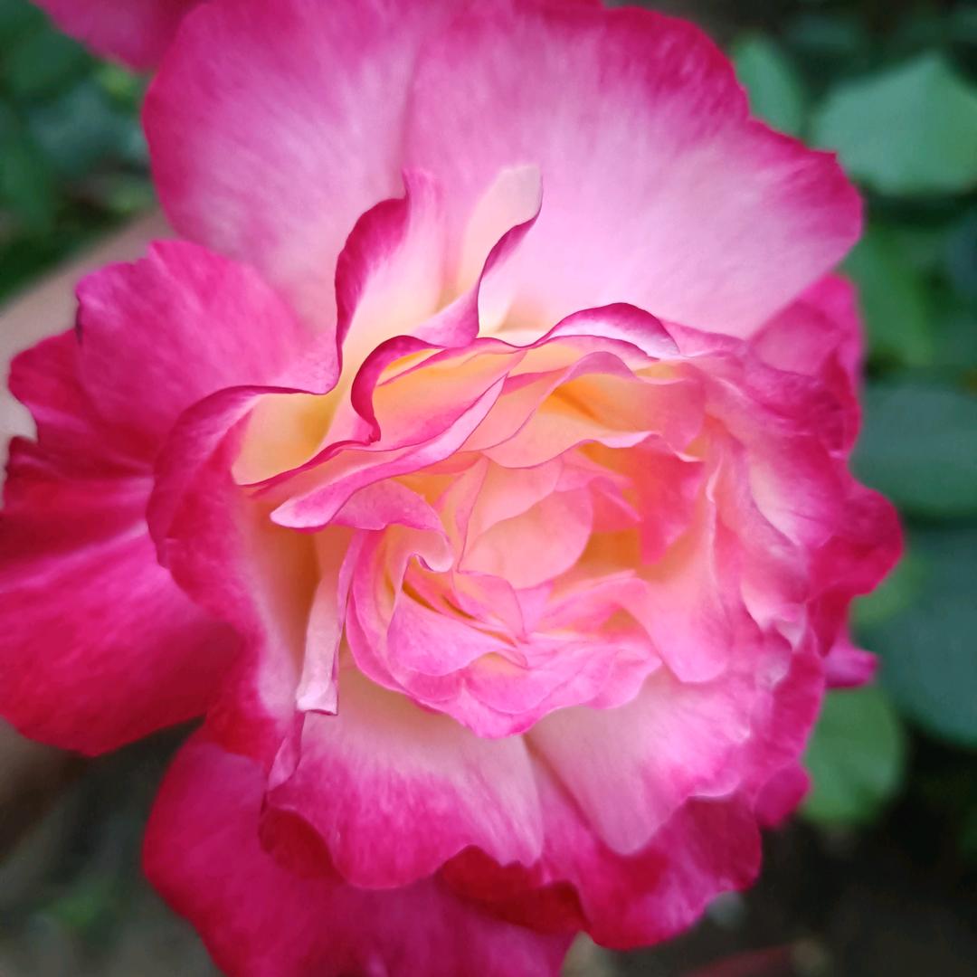 说走就走的旅行