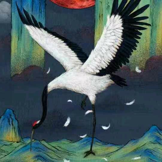 今夜星空正灿烂