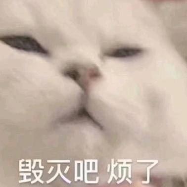 你听我说