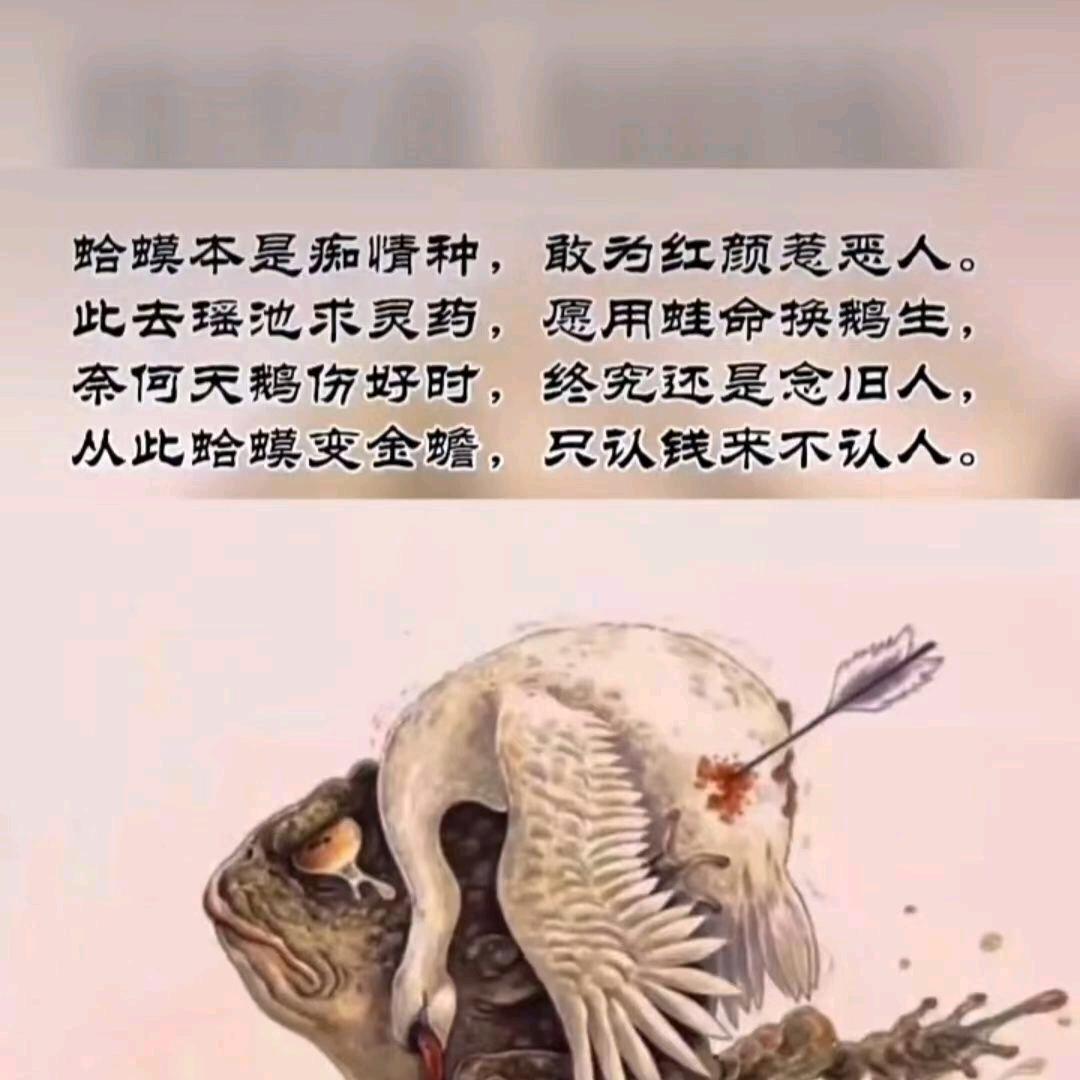 岑小溪💫💫
