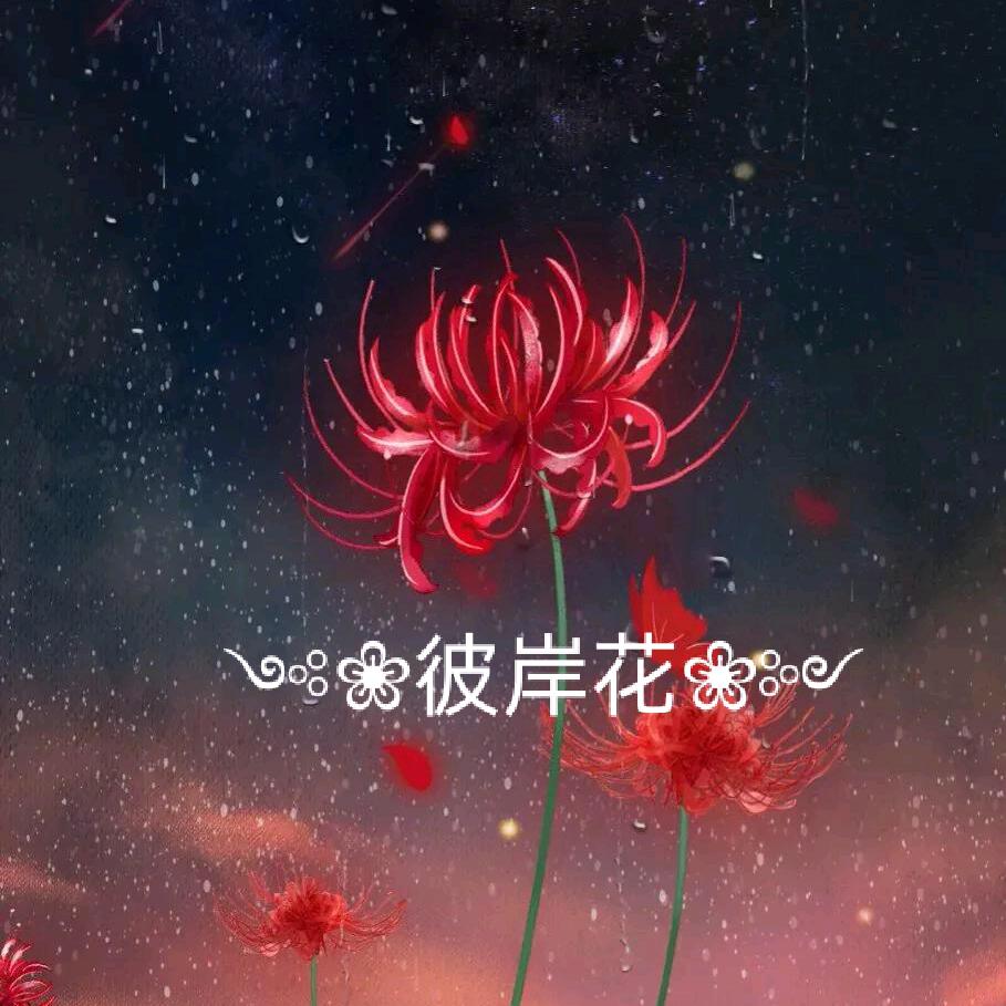 ༺❀彼岸花❀༻