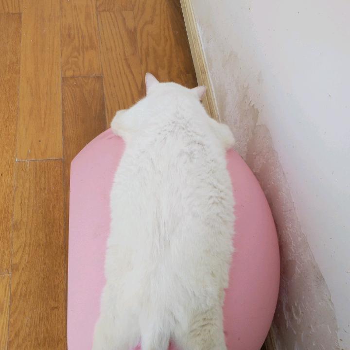 思雯