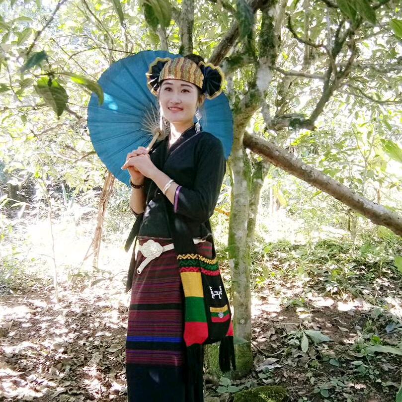 布朗贝儿