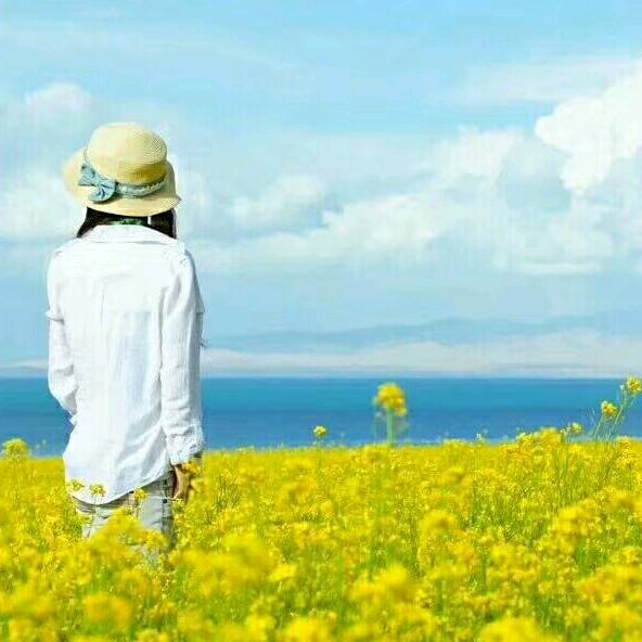 慧慧