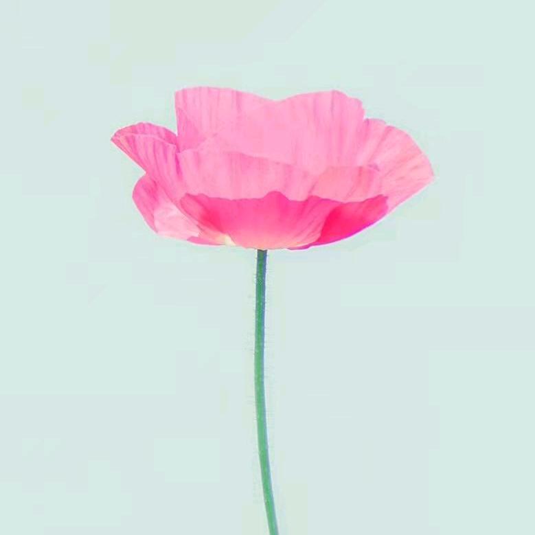 喃喃喃