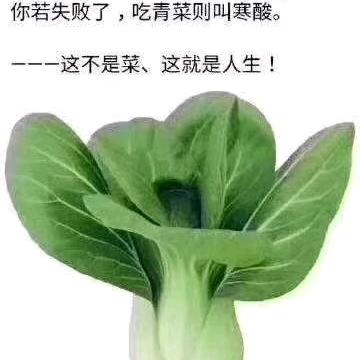 丫丫（6618）