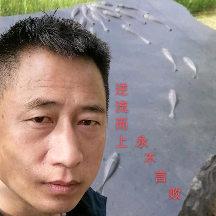 钓鱼佬爱上佛系跑