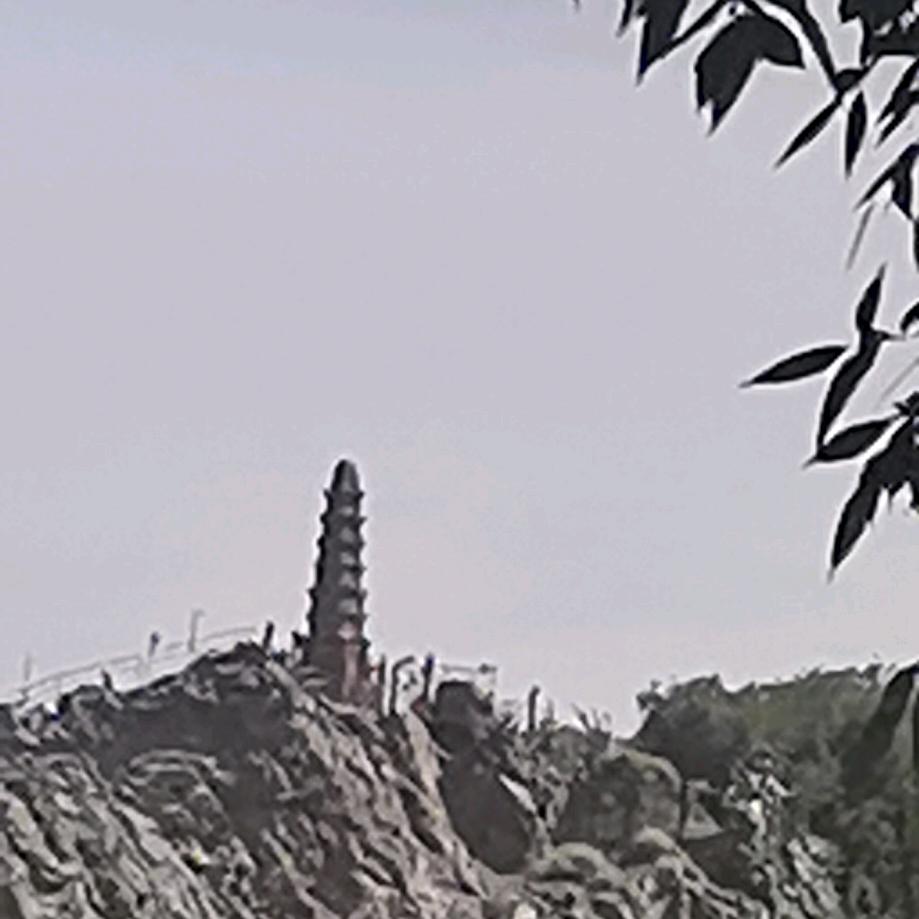 伪装者