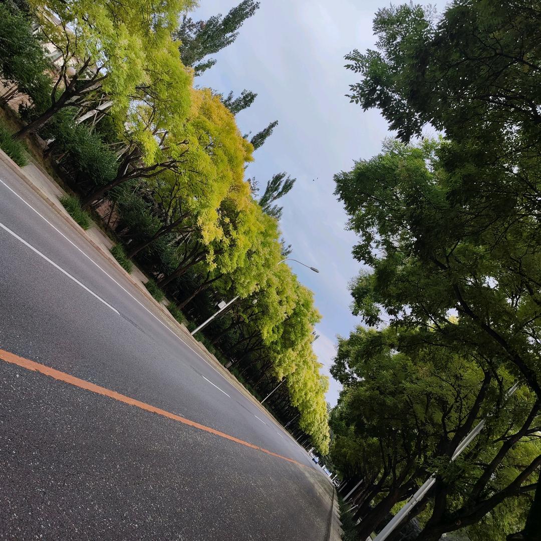 懒懒嗒