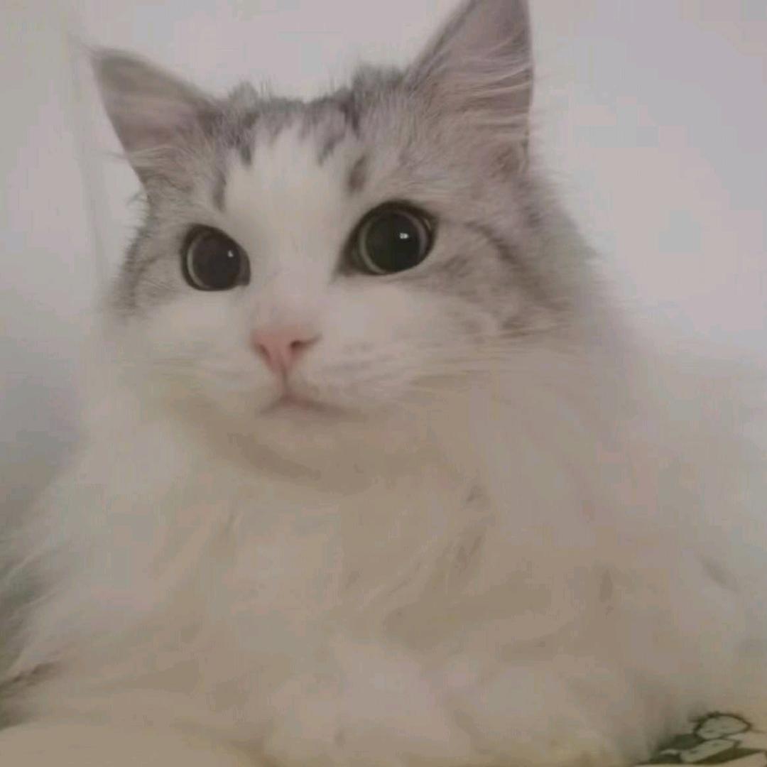 余宸