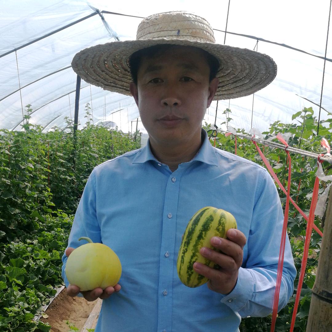 金乡胸海种业（新技术，新方法专家）