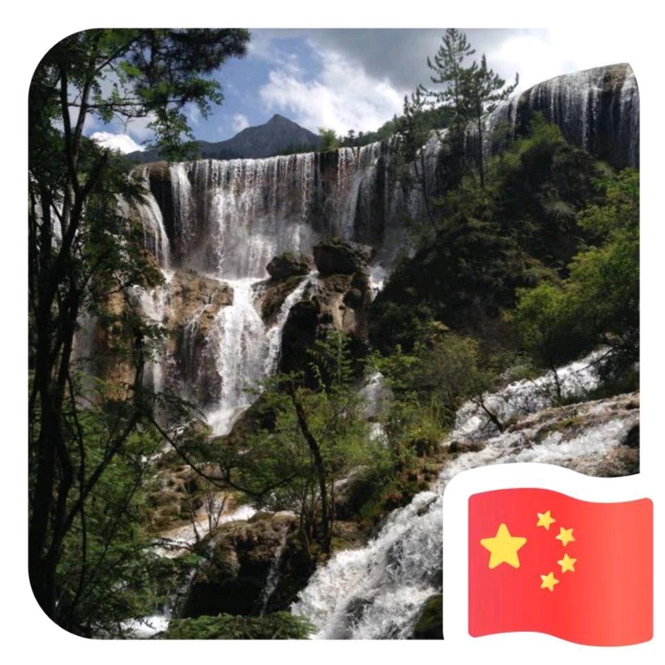 宝哥