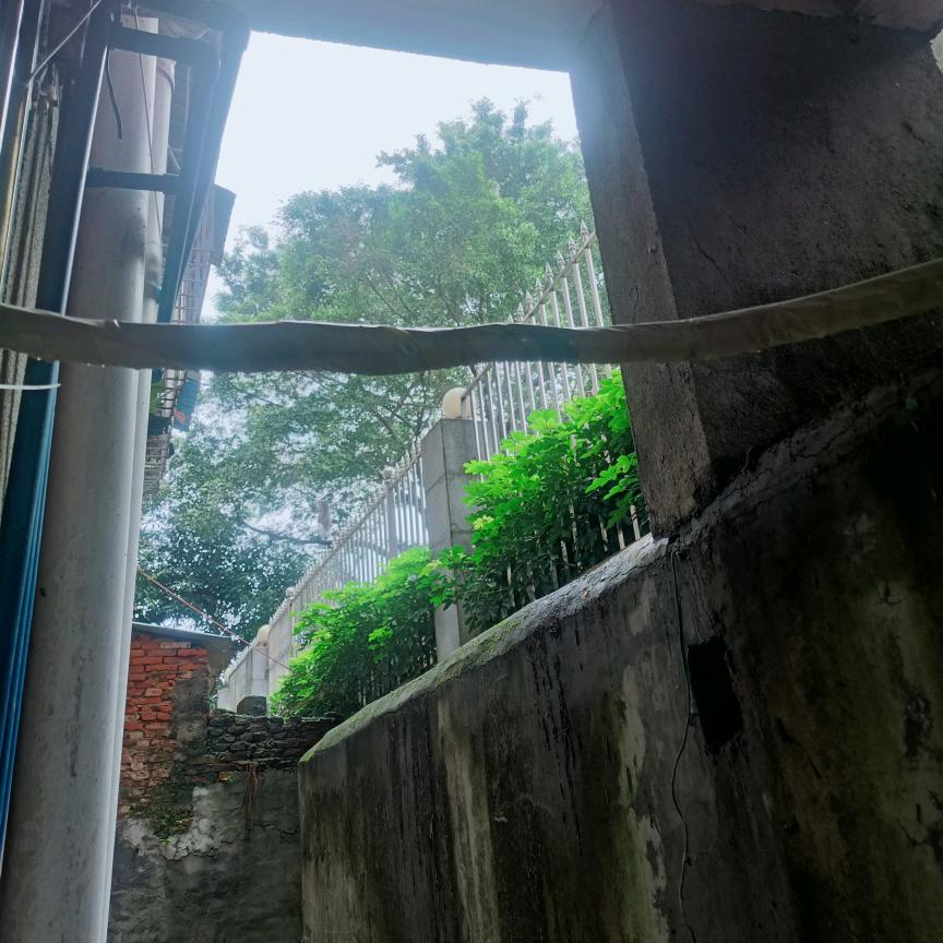 来自农村小黄