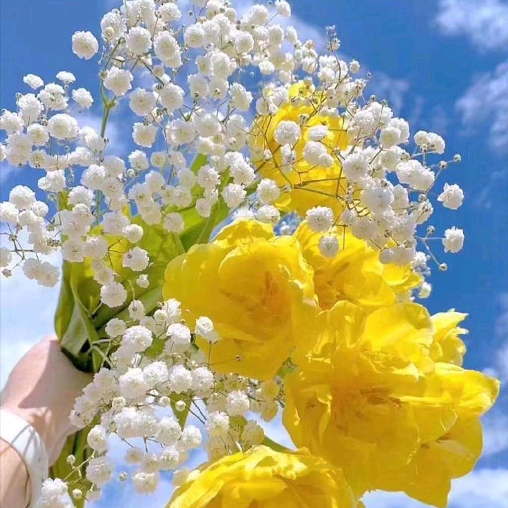 @今生521@