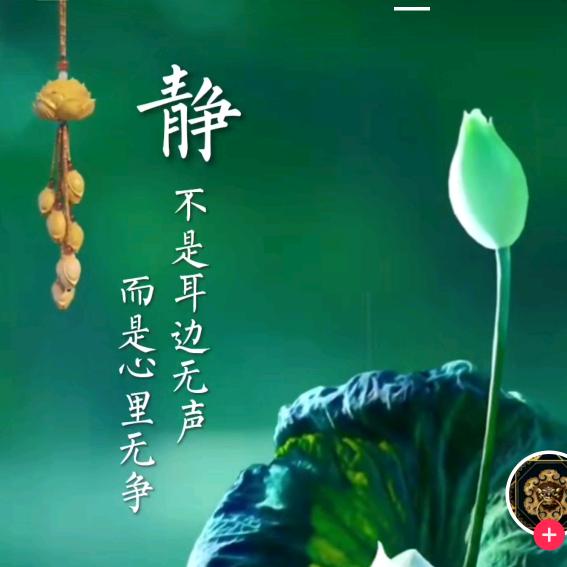酷酷酷大神
