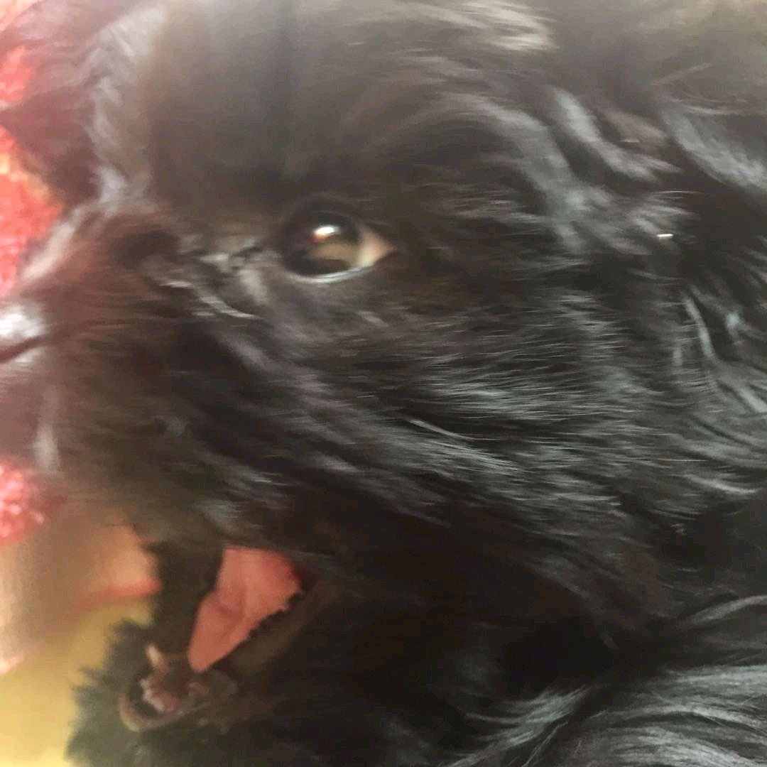 三旬老汉大战酸磨膏