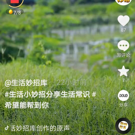 花海月