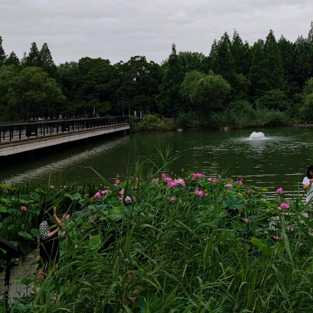 养生大师
