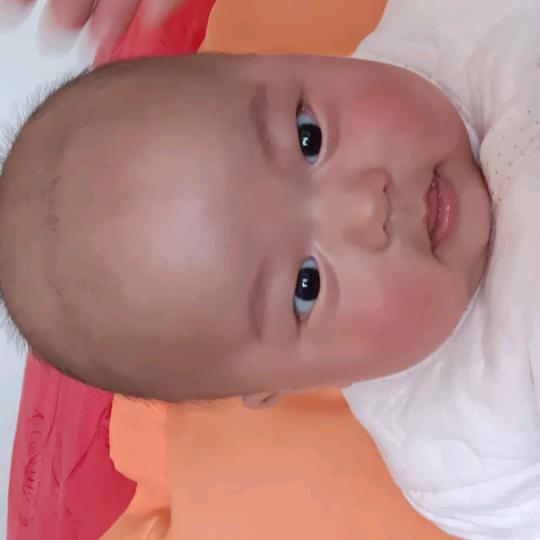 爱文思君