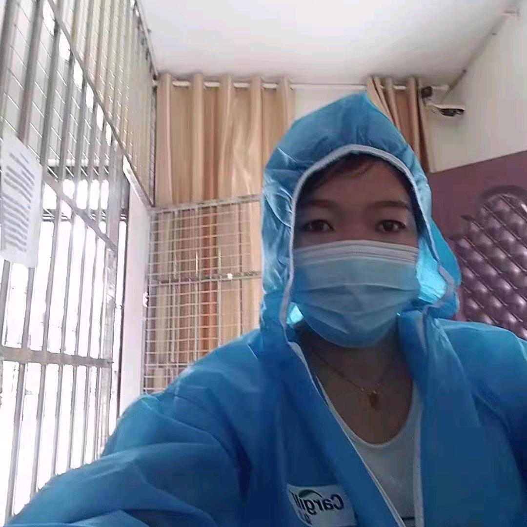 毛 毛 雨